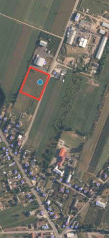 Działka inwestycyjna Cielądz. Zdjęcie 1