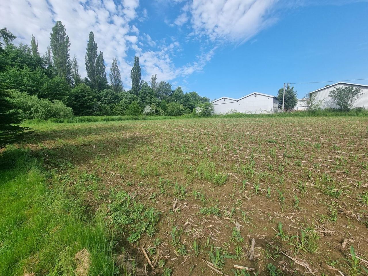 Działka inwestycyjna Jastrzębie-Zdrój Bzie Górne, ul. Pszczyńska. Zdjęcie 5