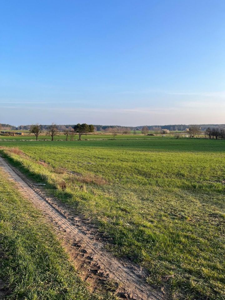 Działka rolno-budowlana Pszczew. Zdjęcie 2