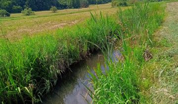 Działka rolna Radolin