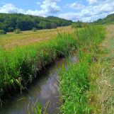 Działka rolna Radolin. Zdjęcie 1