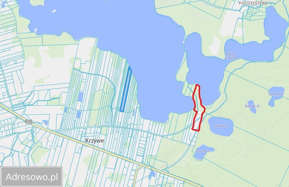 Działka rekreacyjna Krzywe. Zdjęcie 2