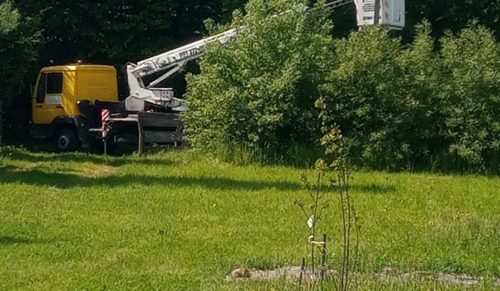 Działka siedliskowa Wyględówek