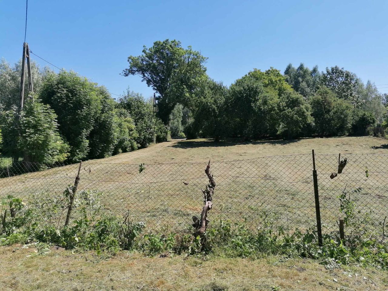 Działka rolno-budowlana Marzęcino, Główna. Zdjęcie 5