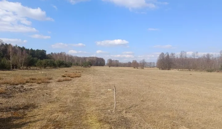 Działka rolno-budowlana Antoniew