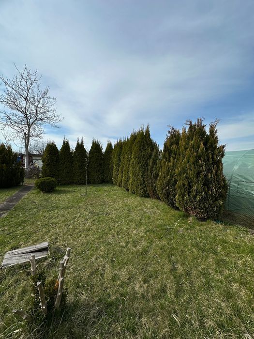 Działka rod Lubin. Zdjęcie 3