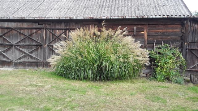 dom wolnostojący, 4 pokoje Górzno. Zdjęcie 18