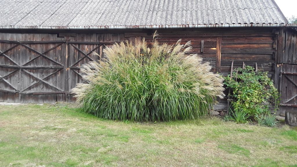 dom wolnostojący, 4 pokoje Górzno. Zdjęcie 18