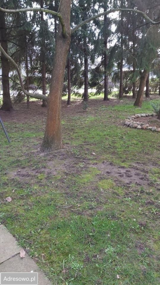 Mieszkanie 5-pokojowe Wola Batorska. Zdjęcie 11