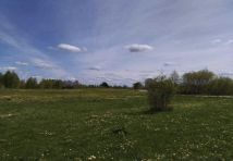 Działka rekreacyjna Raj. Zdjęcie 4