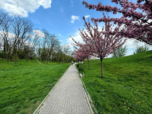 Mieszkanie 2-pokojowe Lublin Ponikwoda. Zdjęcie 4