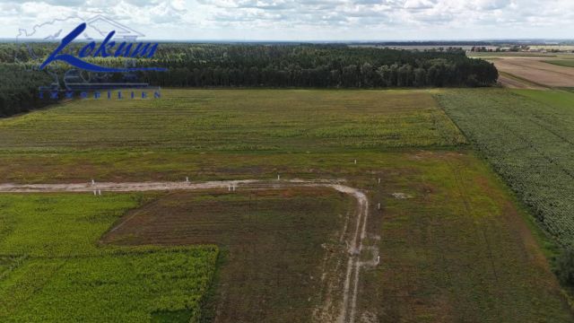 Działka budowlana Jezierzyce Kościelne. Zdjęcie 4