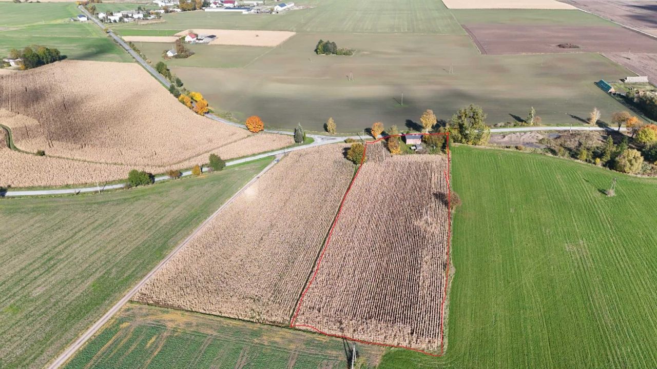 siedlisko Łobdowo. Zdjęcie 4