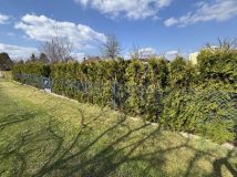 Działka rod Głogów, ul. Marszałka Józefa Piłsudskiego. Zdjęcie 1