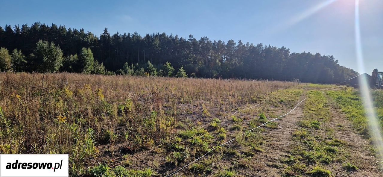 Działka budowlana Kleszczewo. Zdjęcie 2