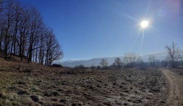 Działka budowlana Jelenia Góra Cieplice Śląskie-Zdrój, ul. PCK