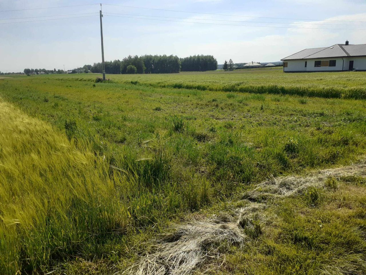 Działka budowlana Lubaczów, ul. Żuki. Zdjęcie 5