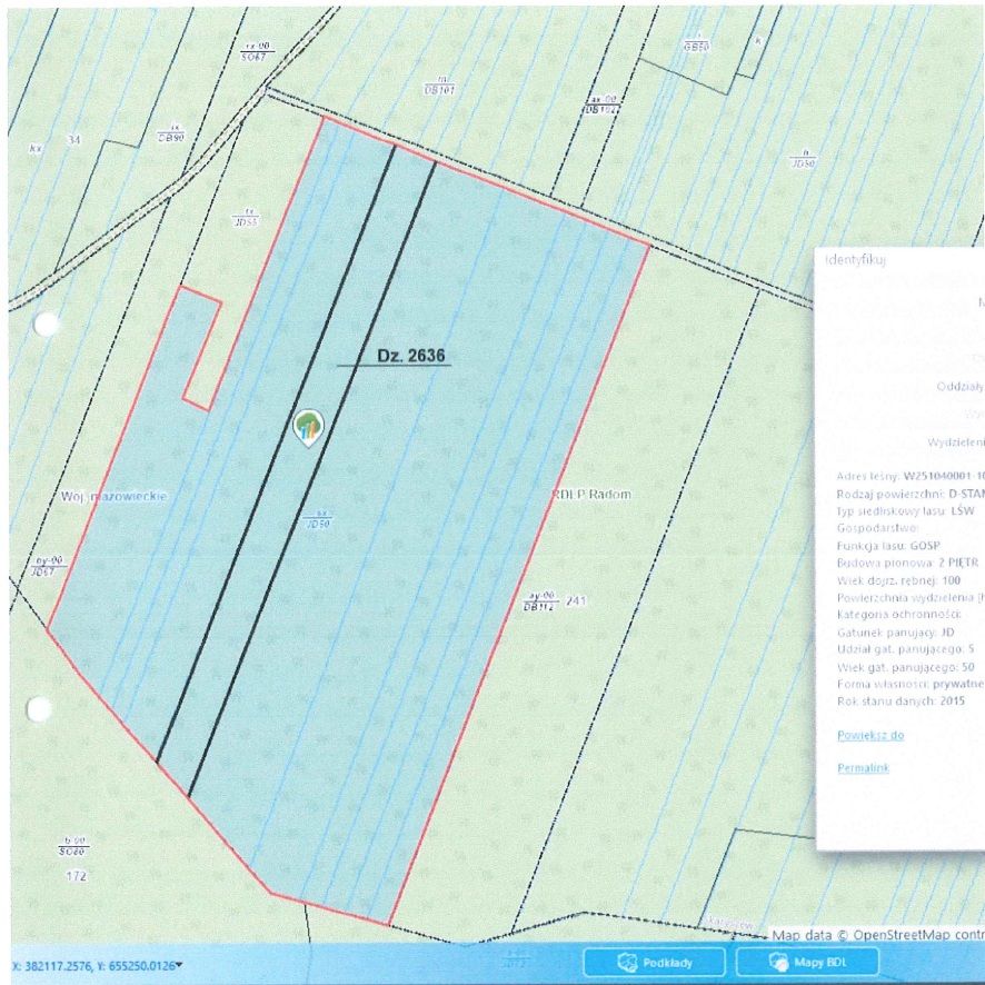 Działka leśna Wilczna. Zdjęcie 2