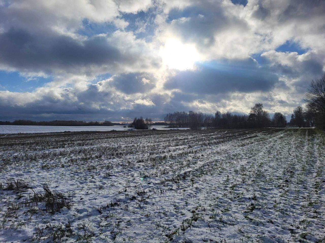 Działka budowlana Morowo. Zdjęcie 2