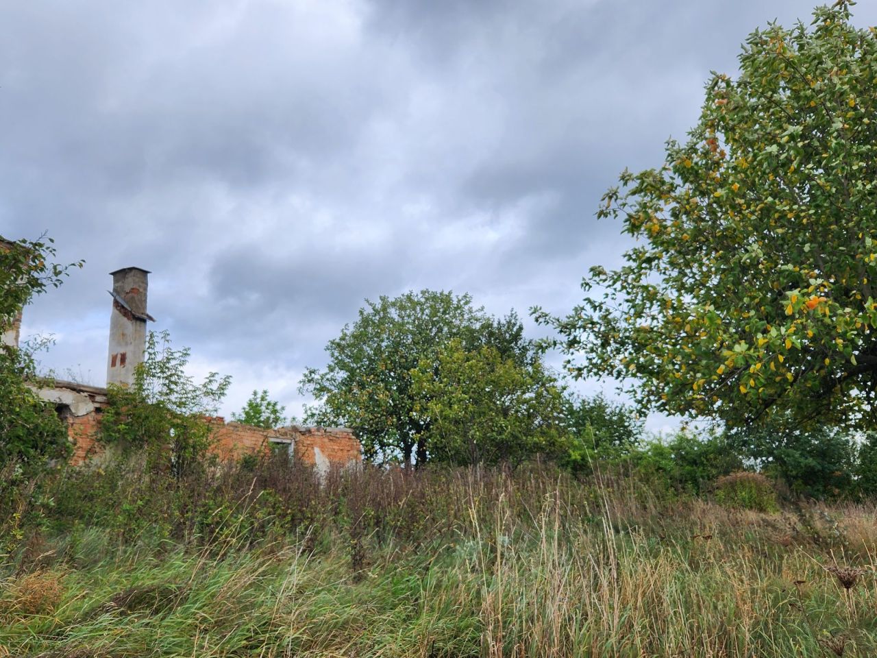 Działka siedliskowa Gródek, ul. Wdecka