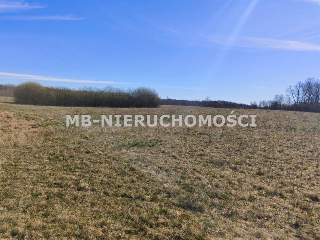Działka rolna Parcz. Zdjęcie 10