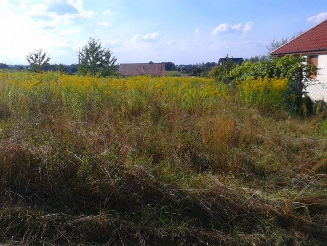 Działka budowlana Zawonia. Zdjęcie 1