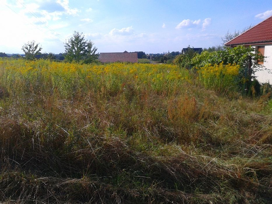 Działka budowlana Zawonia