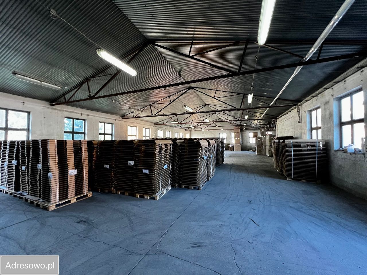 Hala/magazyn Mszanowo. Zdjęcie 2