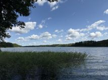 Działka rolno-budowlana Wierzbowo. Zdjęcie 2