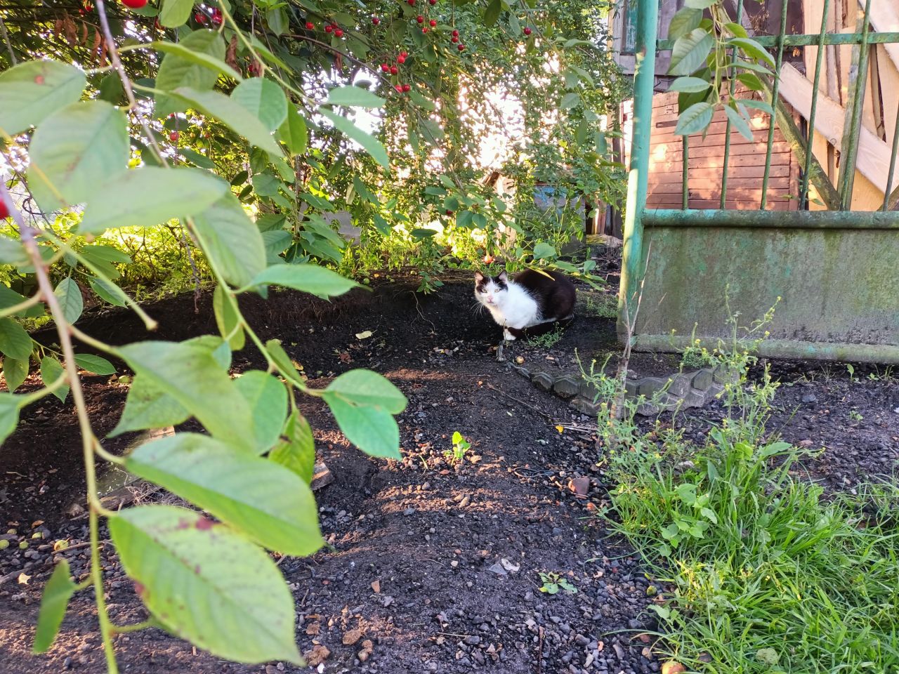 dom wolnostojący, 5 pokoi Janowice Raczyckie Pytlówka. Zdjęcie 2