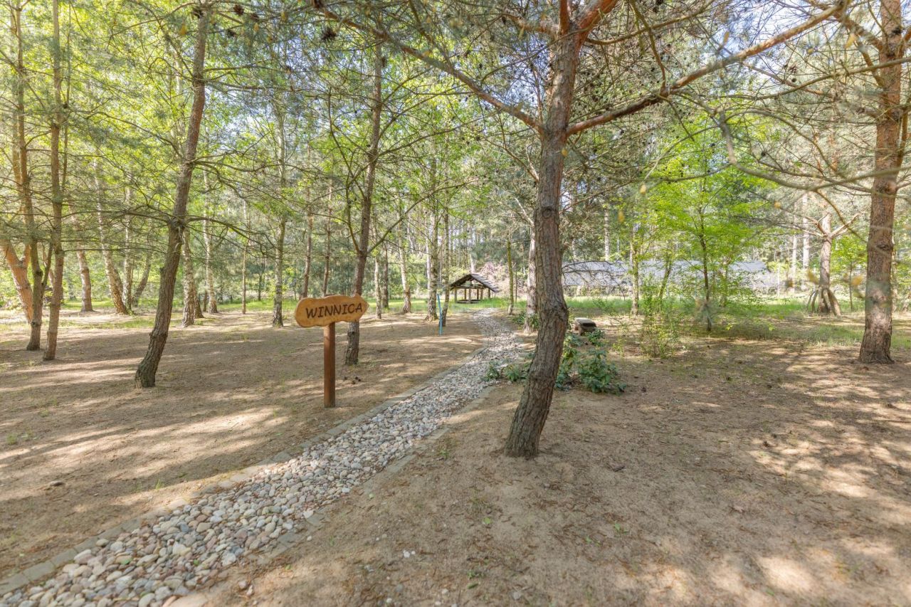 Hotel/pensjonat Janopole. Zdjęcie 17