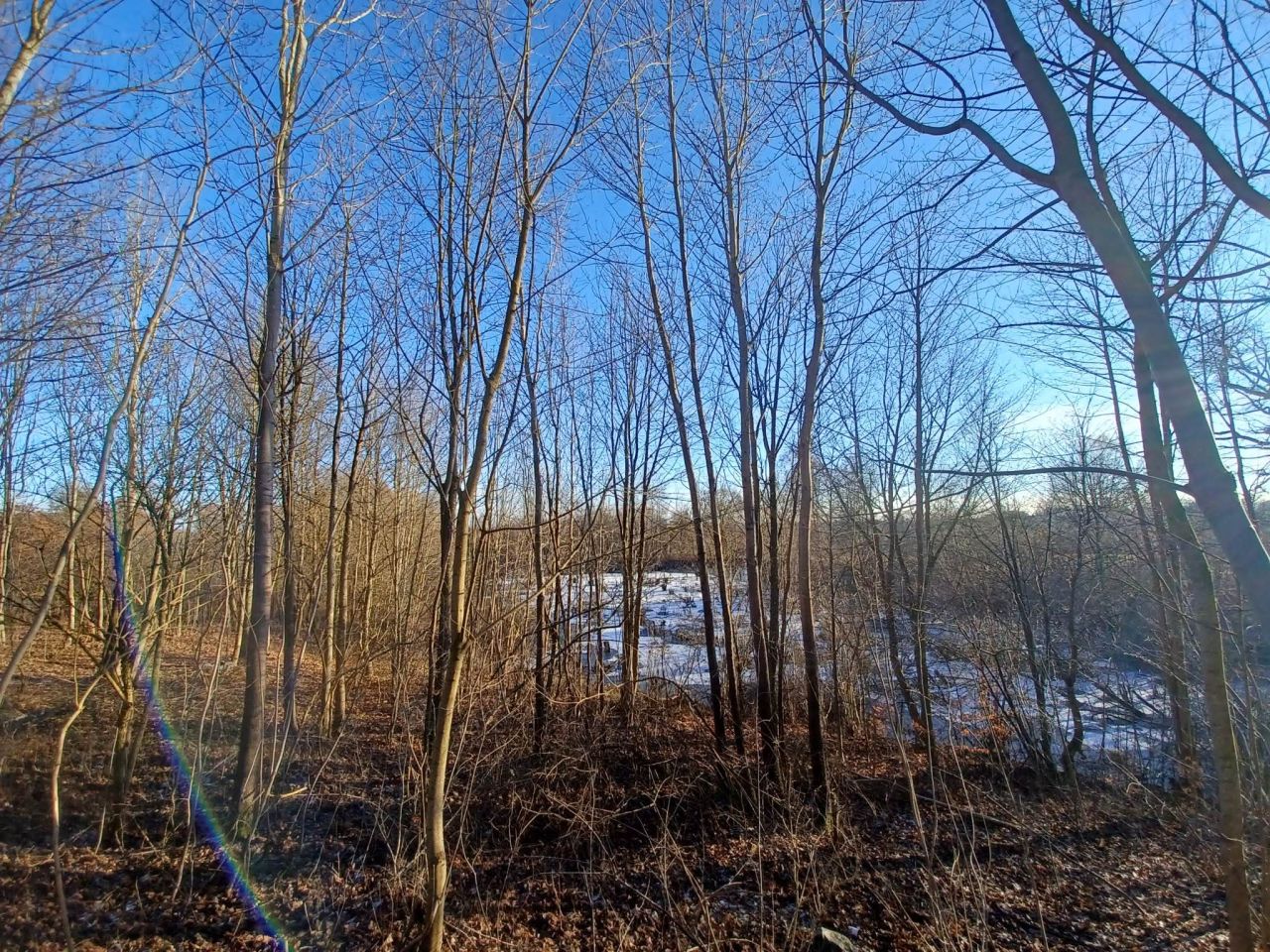 Działka rolna Krągłe. Zdjęcie 3