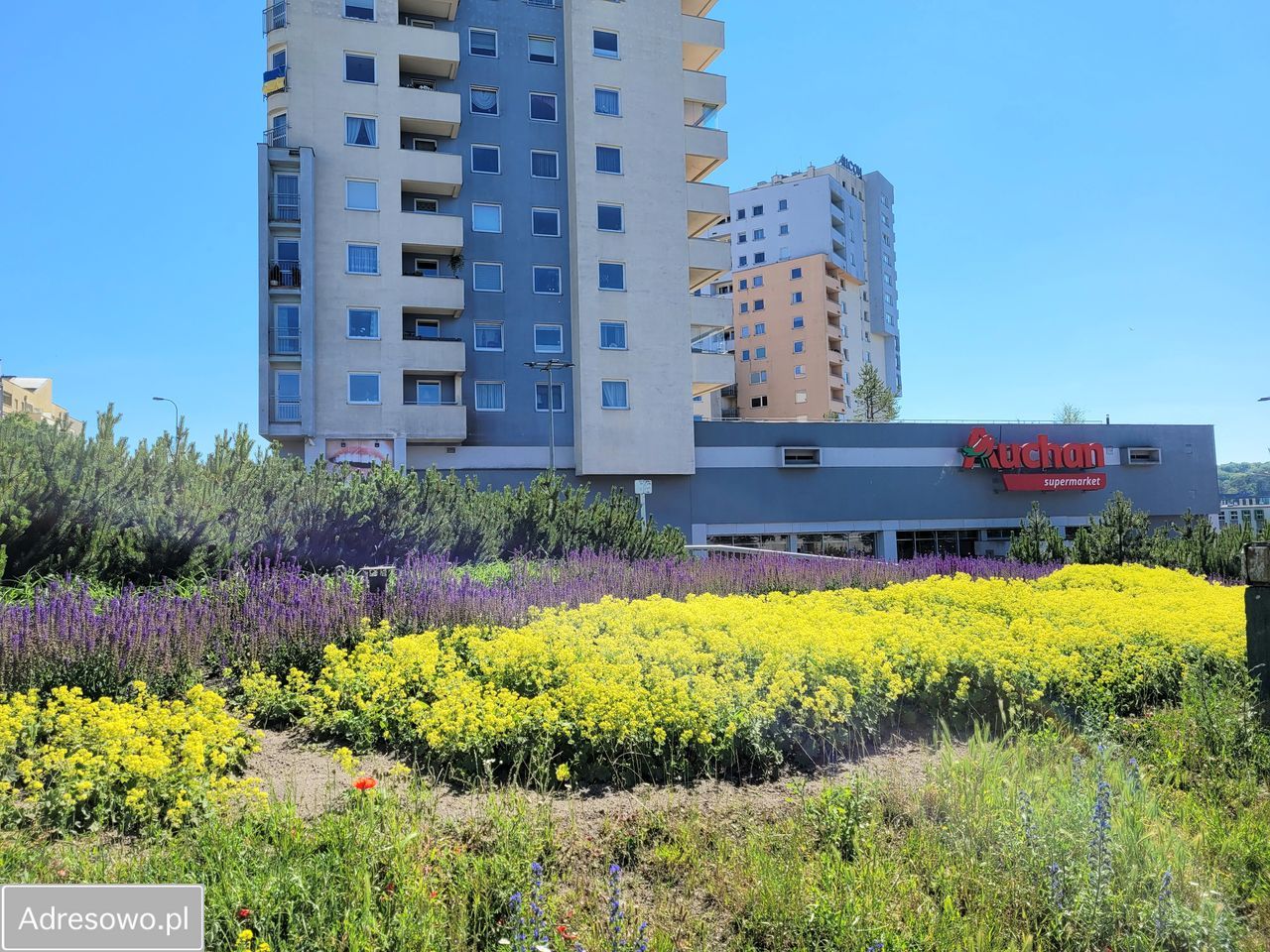 Mieszkanie 3-pokojowe Gdynia Redłowo, ul. Legionów. Zdjęcie 13