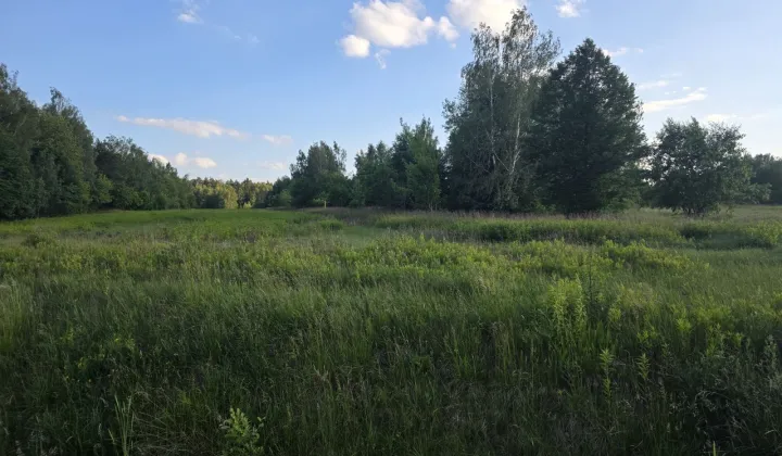 Działka inwestycyjna Wola Karczewska