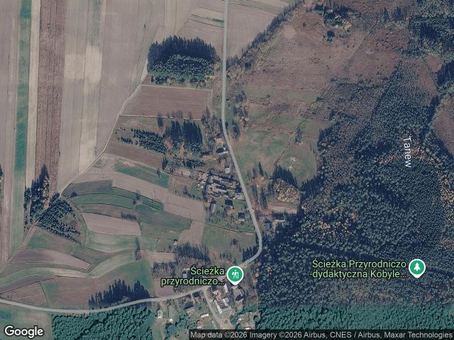 Działka rolno-budowlana Huta-Złomy. Zdjęcie 1