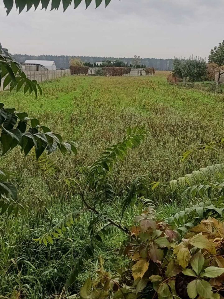 Działka budowlana Piotrowice. Zdjęcie 3