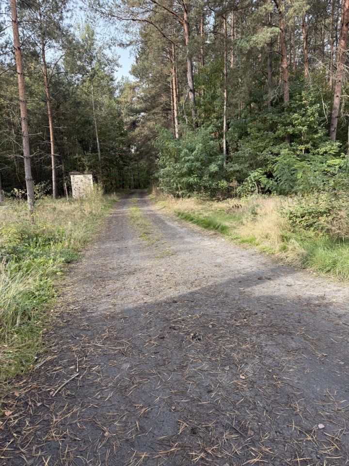 dom wolnostojący, 6 pokoi Gęsianka. Zdjęcie 9