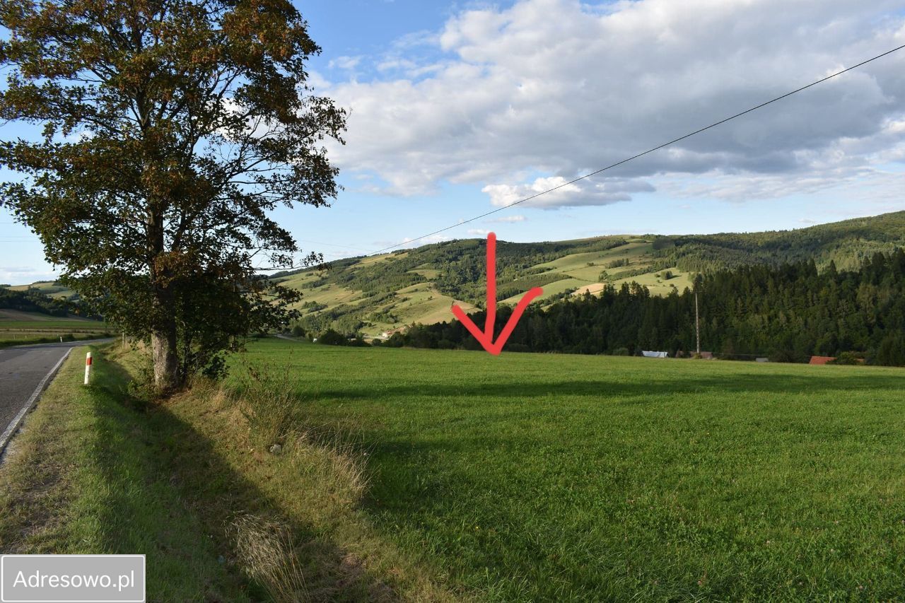 Działka budowlana Kąty. Zdjęcie 8