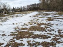 Działka budowlana Kosiny Bartosowe. Zdjęcie 1