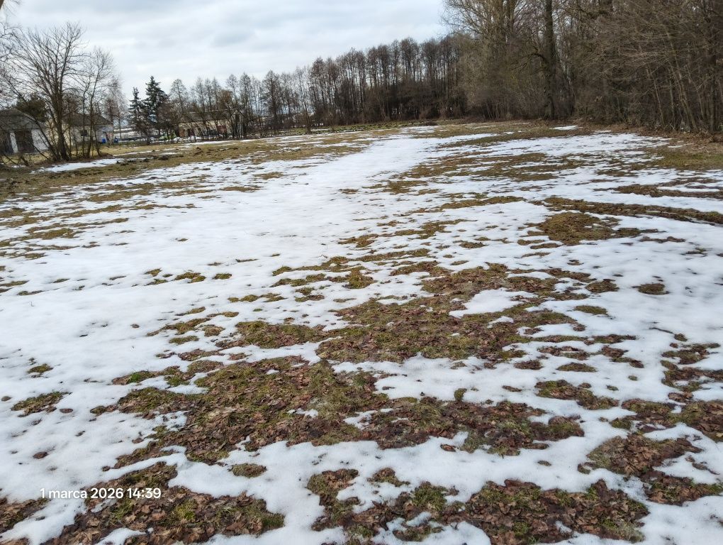 Działka budowlana Kosiny Bartosowe. Zdjęcie 2