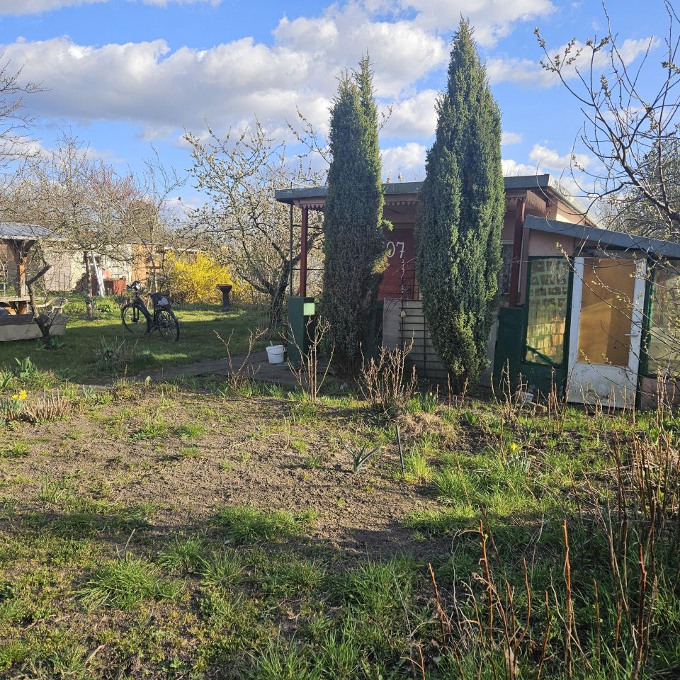 Działka rod Żary, ul. Tatrzańska. Zdjęcie 4