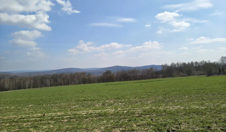 Działka budowlana Pępice Doły Pępickie, Działka budowlana Porzecze, Miedziana góra,Barania Góra