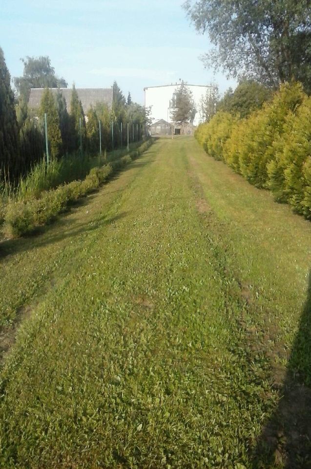 Działka budowlana Gorzów Wielkopolski Wieprzyce, ul. Dolna. Zdjęcie 12