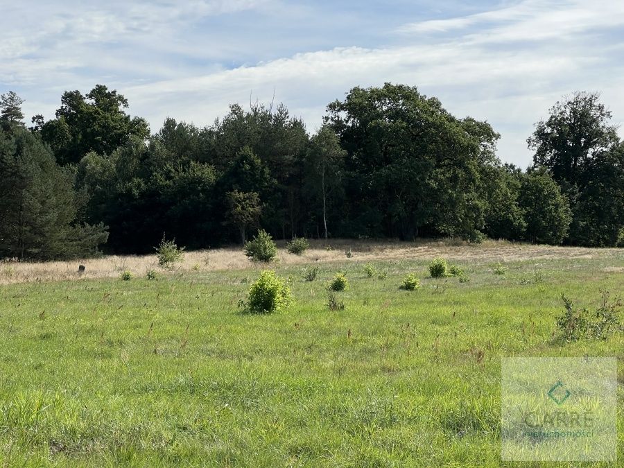 Działka budowlana Uniemyśl. Zdjęcie 3