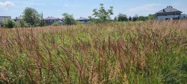 Działka budowlana Michałowice-Wieś. Zdjęcie 5