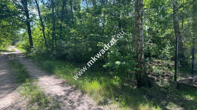 Działka budowlana Radonie. Zdjęcie 16