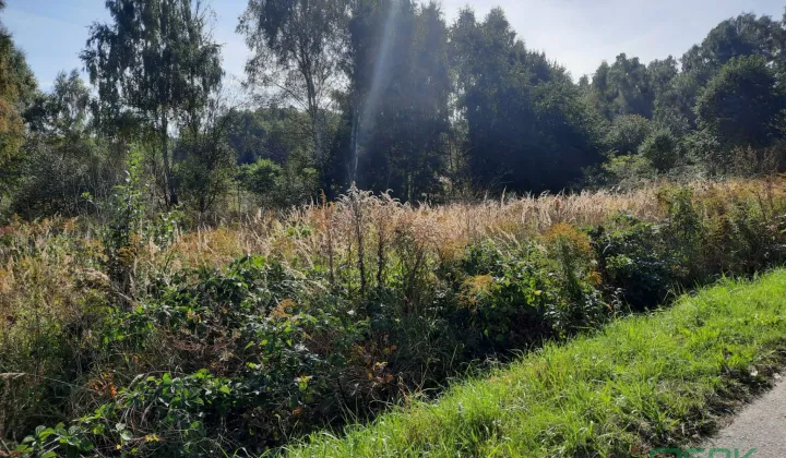 Działka inna Rybnik Niedobczyce, ul. Ludwika Zamenhofa