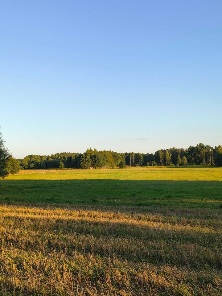 Działka budowlana Wólka Kokosia. Zdjęcie 2