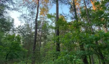 Działka na sprzedaż bez pośredników 
 
 ul. Runa Leśnego 
 
 Emów - Widok 5