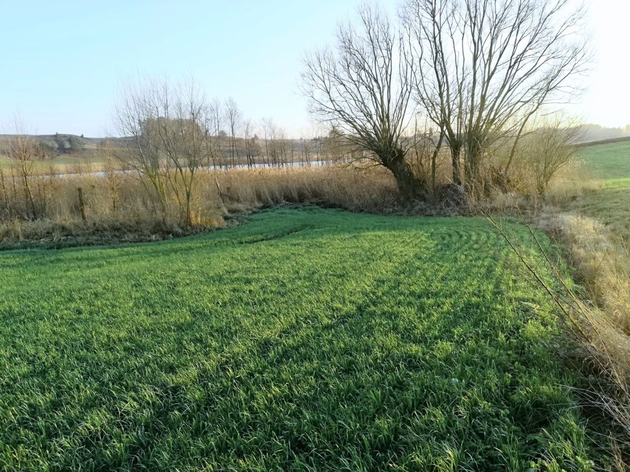 Działka budowlana Żegary. Zdjęcie 4